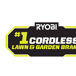 RYOBI RY405100-PS 40V HP Brushless 14 in. Cordless Battery Chainsaw and 10 in. Cordless Battery Pole Saw with 4.0 Ah Battery and Charger