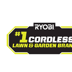 RYOBI RY40570 40V 10 in. Cordless Battery Chainsaw with 2.0 Ah Battery and Charger