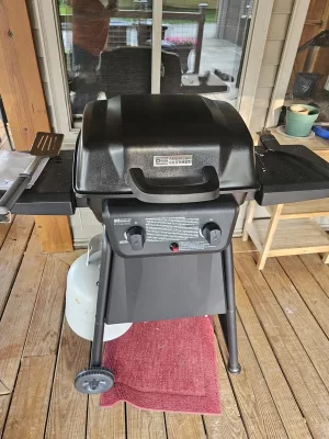 American Gourmet Black 2-Burner Liquid Propane Gas Grill