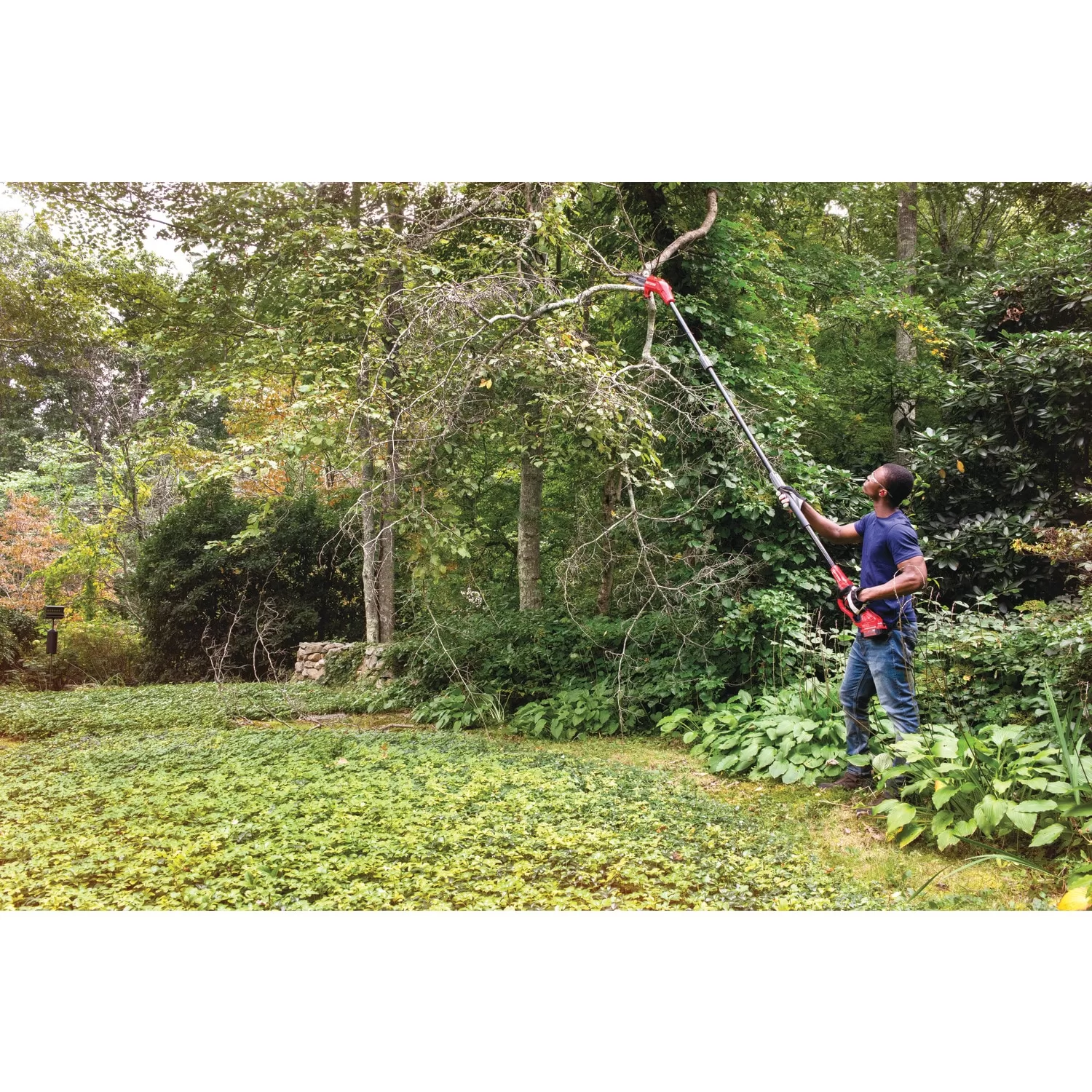 CRAFTSMAN V20 20-volt max 8.0-in 4 Ah Battery Pole Saw Battery Included, Charger Included - Image 16
