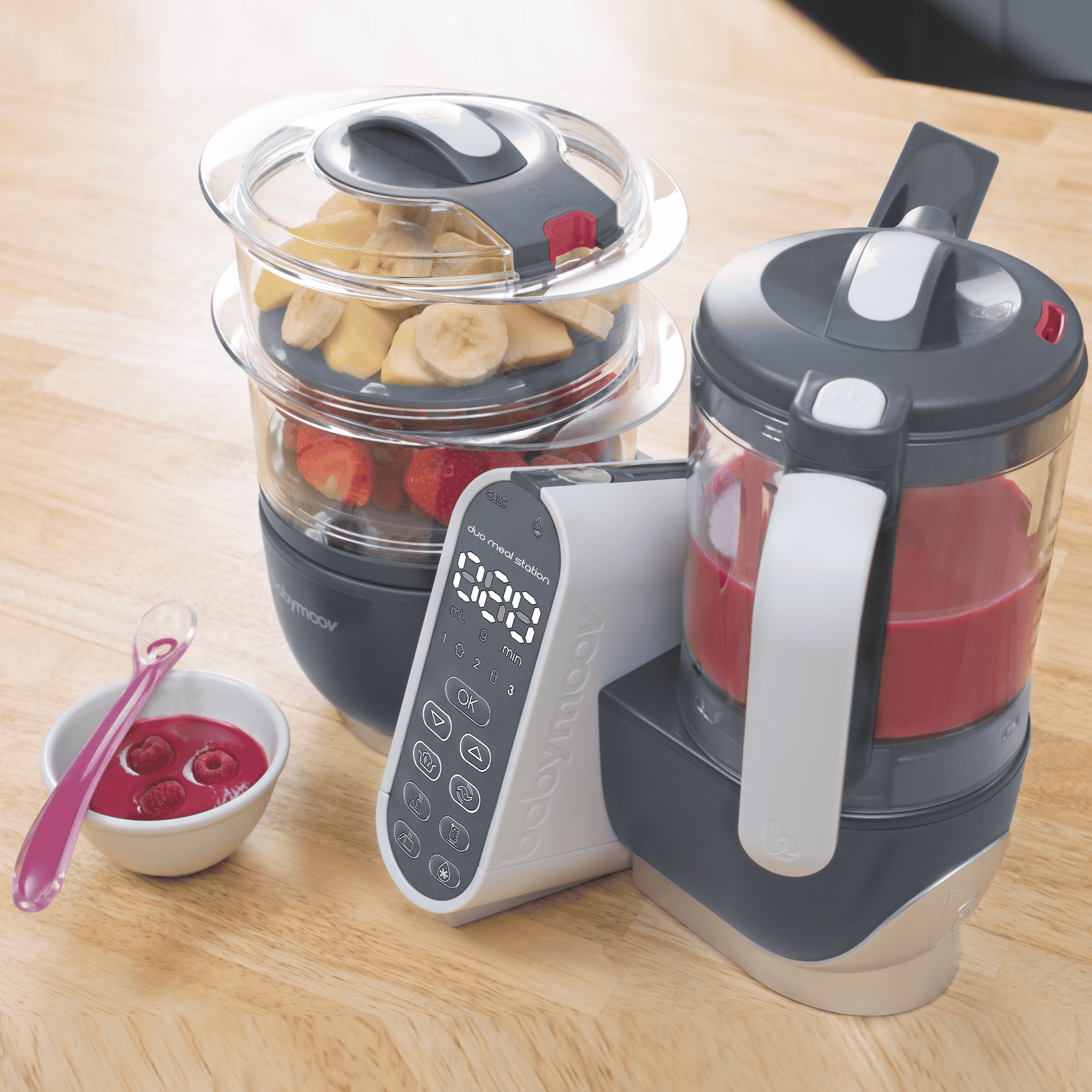 Babymoov Duo Meal Station | 6 in 1 Food Processor With Steam Cooker, Multi-Speed Blender, Baby Purees, Warmer, Defroster, Sterilizer, Grey