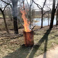 Sportsman Series Folding Steel Fire Cage
