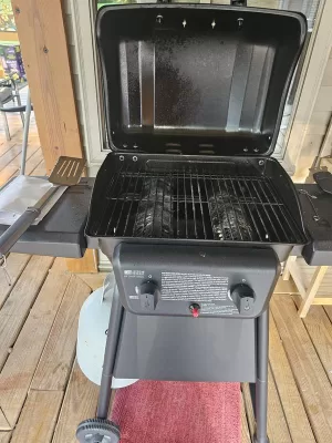 American Gourmet Black 2-Burner Liquid Propane Gas Grill