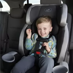 Evenflo Maestro Sport Harness Toddler 2-in-1 Booster Car Seat, Crestone Peaks