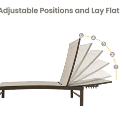 Crestlive Products 2-Piece Aluminum Adjustable Outdoor Chaise Lounge in Beige