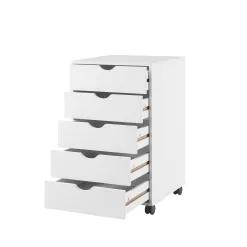 Naomi Home 5 Drawer Office Storage File Cabinet
