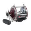 PENN Special Senator Star Drag Conventional Fishing Reel, Size 113