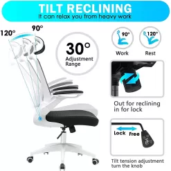 Ergonomic Office Chair, Coolhut Breathable Mesh Desk Chair with Headrest and Flip-up Arms (White)