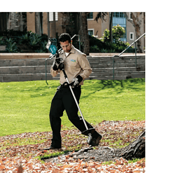 Makita XRU15Z 18-Volt X2 (36-Volt) LXT Lithium-Ion Brushless Cordless String Trimmer (Tool Only)