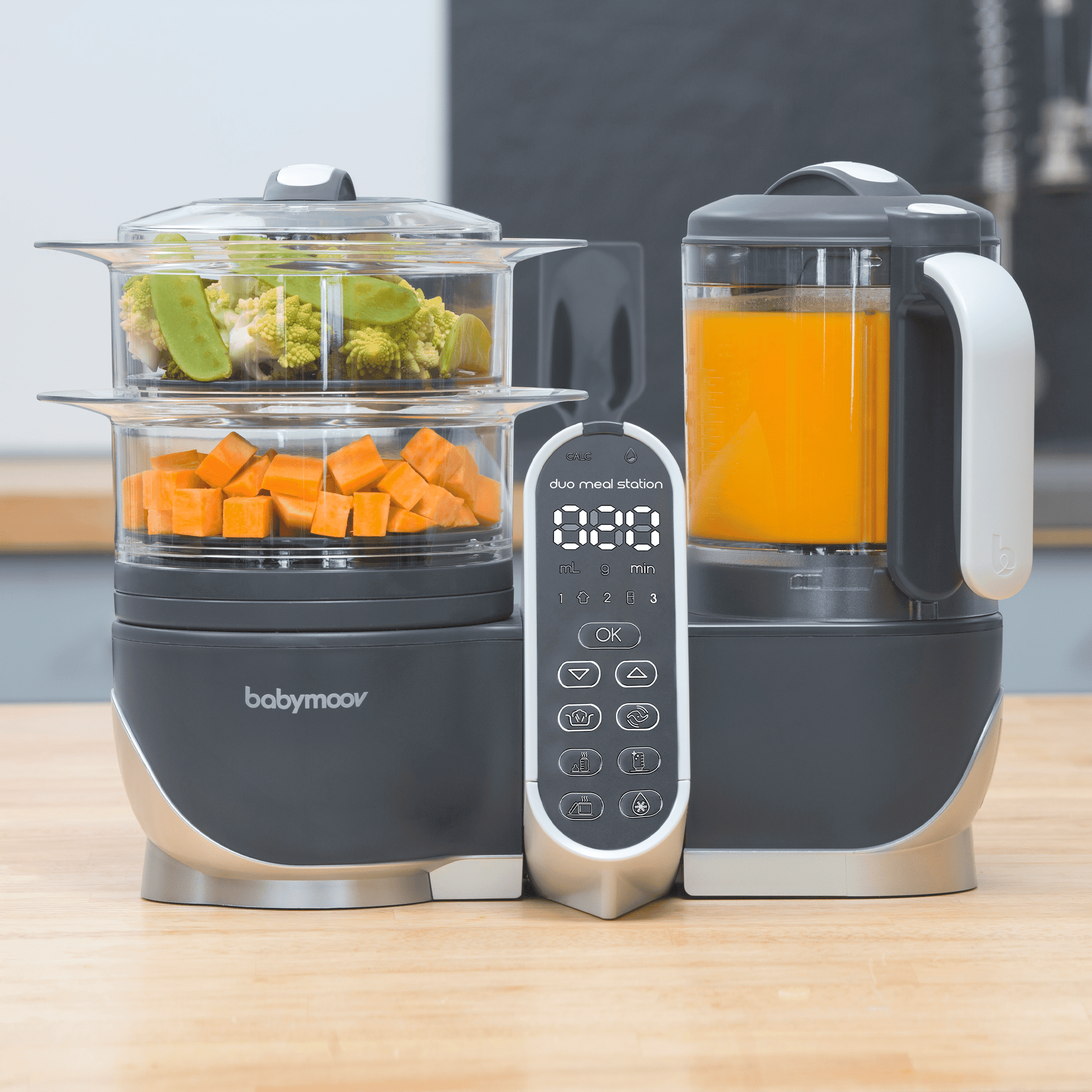 Babymoov Duo Meal Station | 6 in 1 Food Processor With Steam Cooker, Multi-Speed Blender, Baby Purees, Warmer, Defroster, Sterilizer, Grey