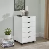 Naomi Home 5 Drawer Office Storage File Cabinet