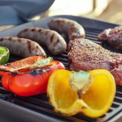 Nexgrill 1 Burner Cast Aluminum Tabletop Propane Gas Grill - Black