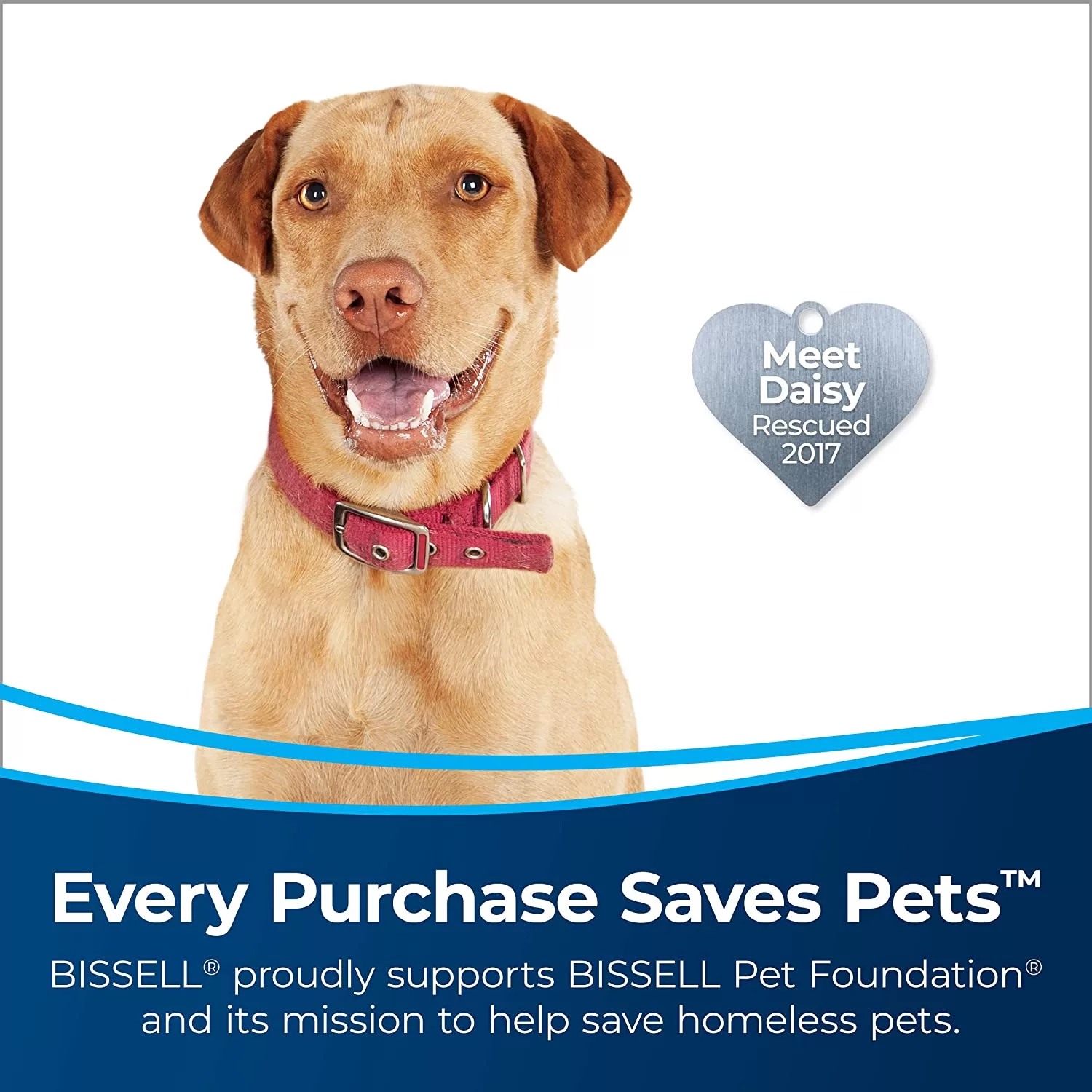 BISSELL MultiClean Allergen Pet Vacuum with HEPA Filter Sealed System, Powerful Cleaning Performance, Specialized Pet Tools, Easy Empty - Image 2