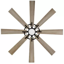 Home Decorators Collection 52106 Makenna 60 in. Changing Integrated Outdoor LED DC Motor and Remote