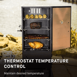 Masterbuilt Dual Fuel Smoker in Black