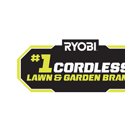 RYOBI RY40560 40V 10 in. Cordless Battery Pole Saw with 2.0 Ah Battery and Charger