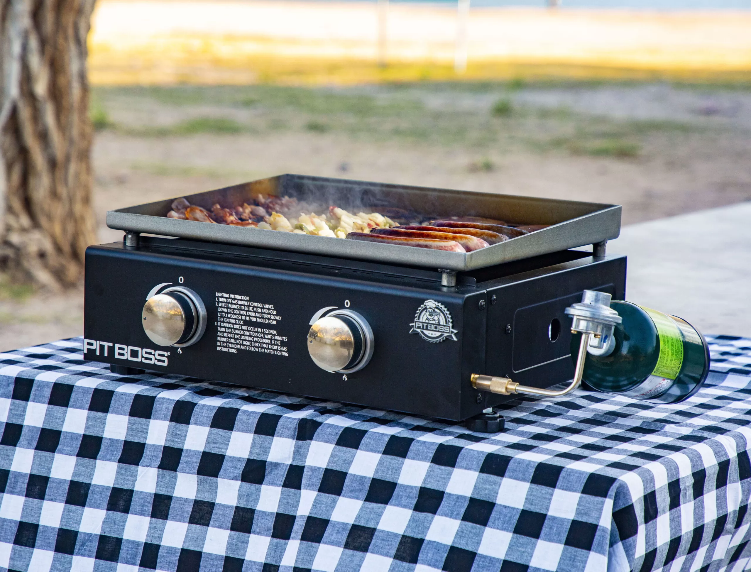 Pit Boss 2 Burner Portable Gas Griddle, Lightweight and portable Cast Iron Griddle