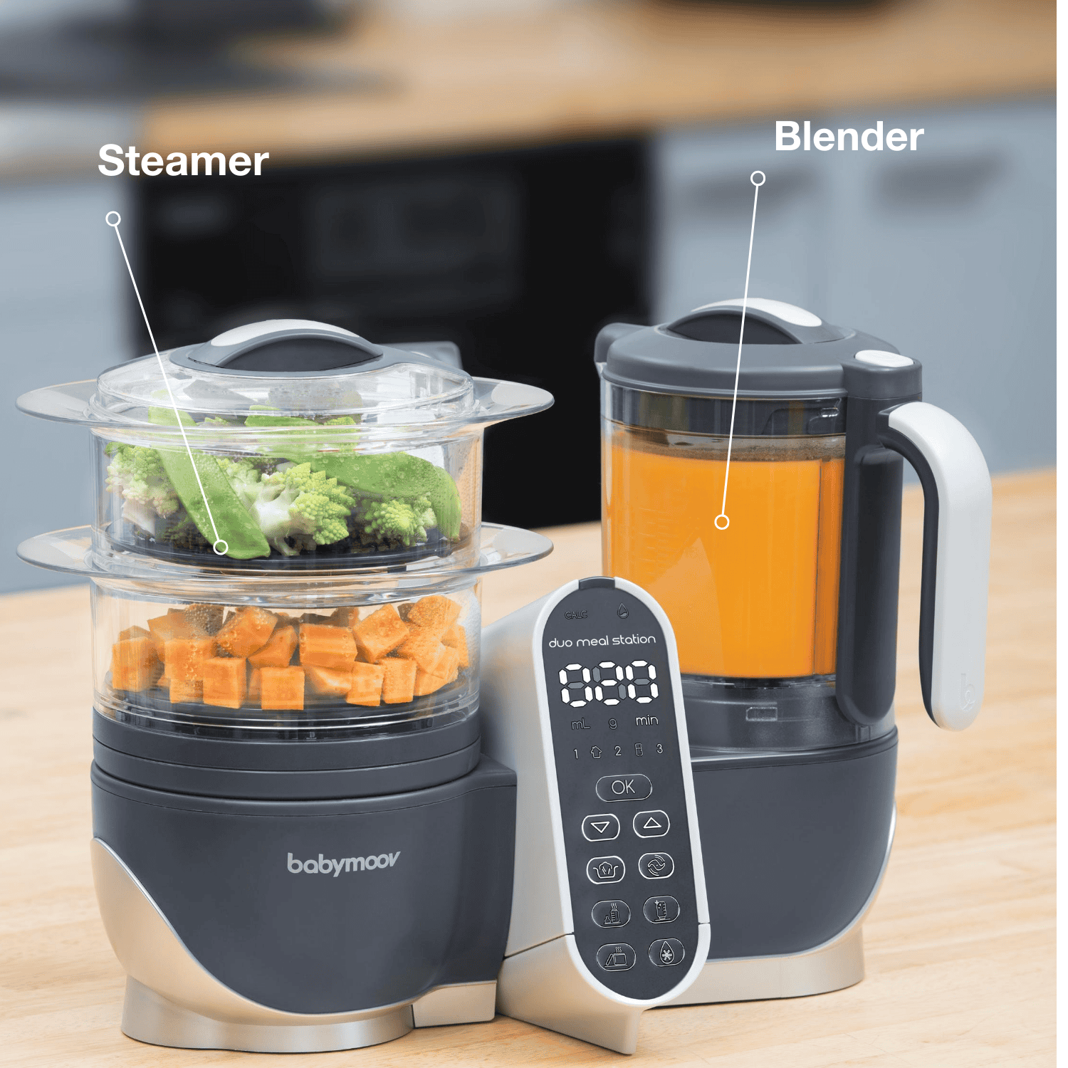 Babymoov Duo Meal Station | 6 in 1 Food Processor With Steam Cooker, Multi-Speed Blender, Baby Purees, Warmer, Defroster, Sterilizer, Grey
