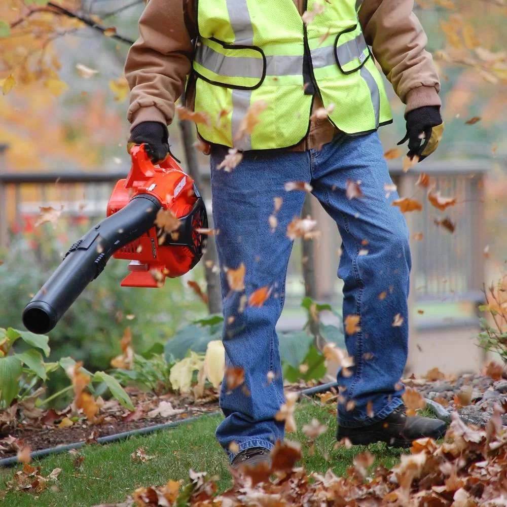 ECHO PB-2520 170 MPH 453 CFM 25.4 cc Gas 2-Stroke Cycle Handheld Leaf Blower