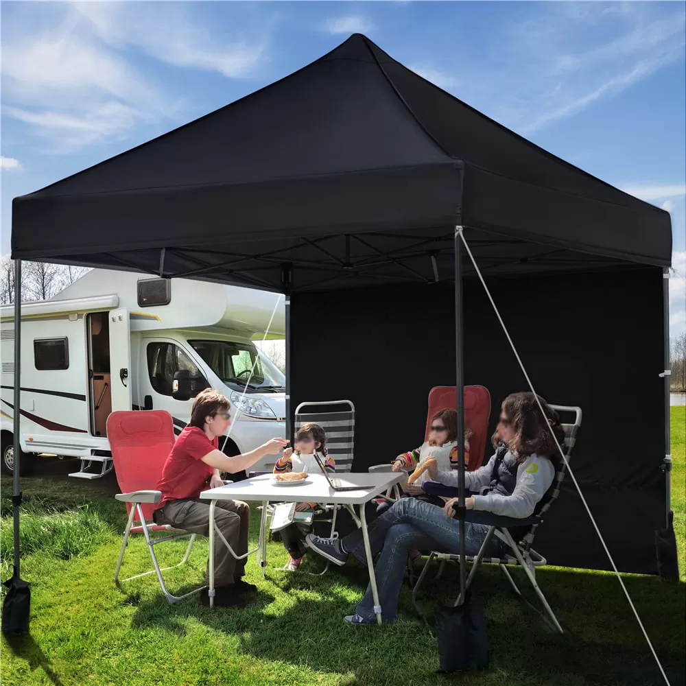 SMILE MART 10' x 10' Enclosed Outdoor Canopy with Wheeled Carry Bag, Black