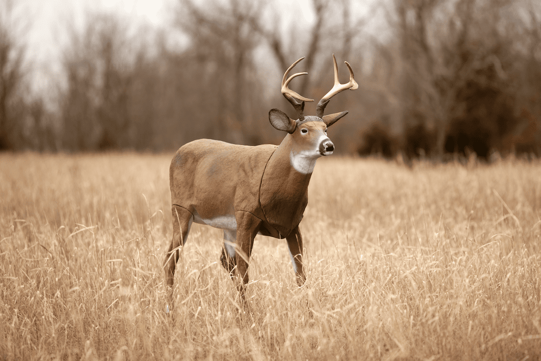 Flambeau Outdoors 5965MS Boss Buck - Masters Series Deer Decoy