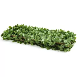 WELLFOR OP-HWY-70780 31 in. Plastic Garden Fence Green Artificial Ivy Fence Screen (Set of 3)