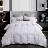 Martha Stewart Living 300TC Year Round Warmth White King Size White Down Comforter
