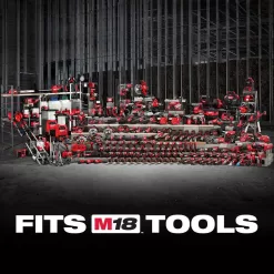 Milwaukee 48-11-1865S M18 18-Volt Lithium-Ion High Output 6.0 Ah and 3.0 Ah Battery (2-Pack)