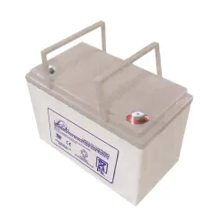 LEOCH LPC12-75T6 12-Volt 75 Ah Sealed Lead Acid Battery for Ryobi 38 in. Riding Mowers