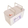 LEOCH LPC12-75T6 12-Volt 75 Ah Sealed Lead Acid Battery for Ryobi 38 in. Riding Mowers