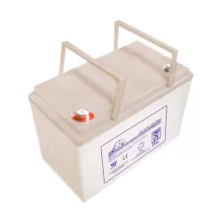 LEOCH LPC12-75T6 12-Volt 75 Ah Sealed Lead Acid Battery for Ryobi 38 in. Riding Mowers