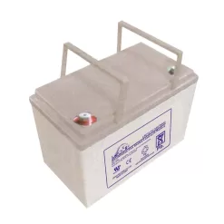 LEOCH LPC12-75T6 12-Volt 75 Ah Sealed Lead Acid Battery for Ryobi 38 in. Riding Mowers