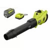 RYOBI RY404140VNM 40V HP Brushless Whisper Series 160 MPH 650 CFM Cordless Battery Leaf Blower with 6.0 Ah Battery and Charger