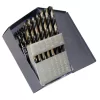 CLE-LINE 29-Piece Assorted High-speed Steel Twist Drill Bit Set