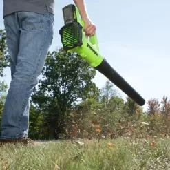Greenworks 24-volt 330-CFM 100-MPH Battery Handheld Leaf Blower (Battery Included)