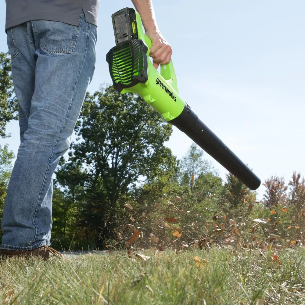 Greenworks 24-volt 330-CFM 100-MPH Battery Handheld Leaf Blower (Battery Included)