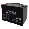 12V 100Ah SLA Battery Replacement for Zoeller Sump Pump