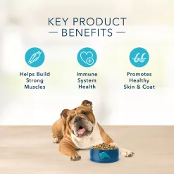 Blue Buffalo Blue Basics Skin & Stomach Care Natural Adult Salmon & Potato Dry Dog Food, 24 lbs.