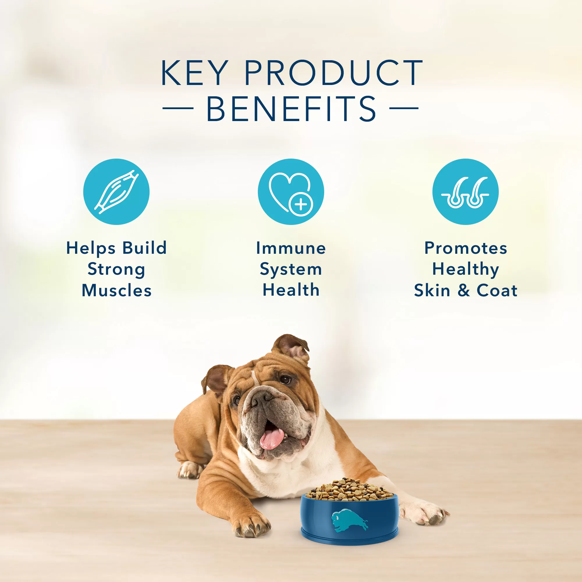 Blue Buffalo Blue Basics Skin & Stomach Care Natural Adult Salmon & Potato Dry Dog Food, 24 lbs.
