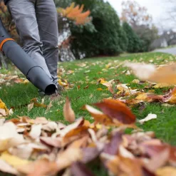 WEN 40-volt Max 480-CFM 124-MPH Battery Handheld Leaf Blower 2 Ah (Battery and Charger Not Included)