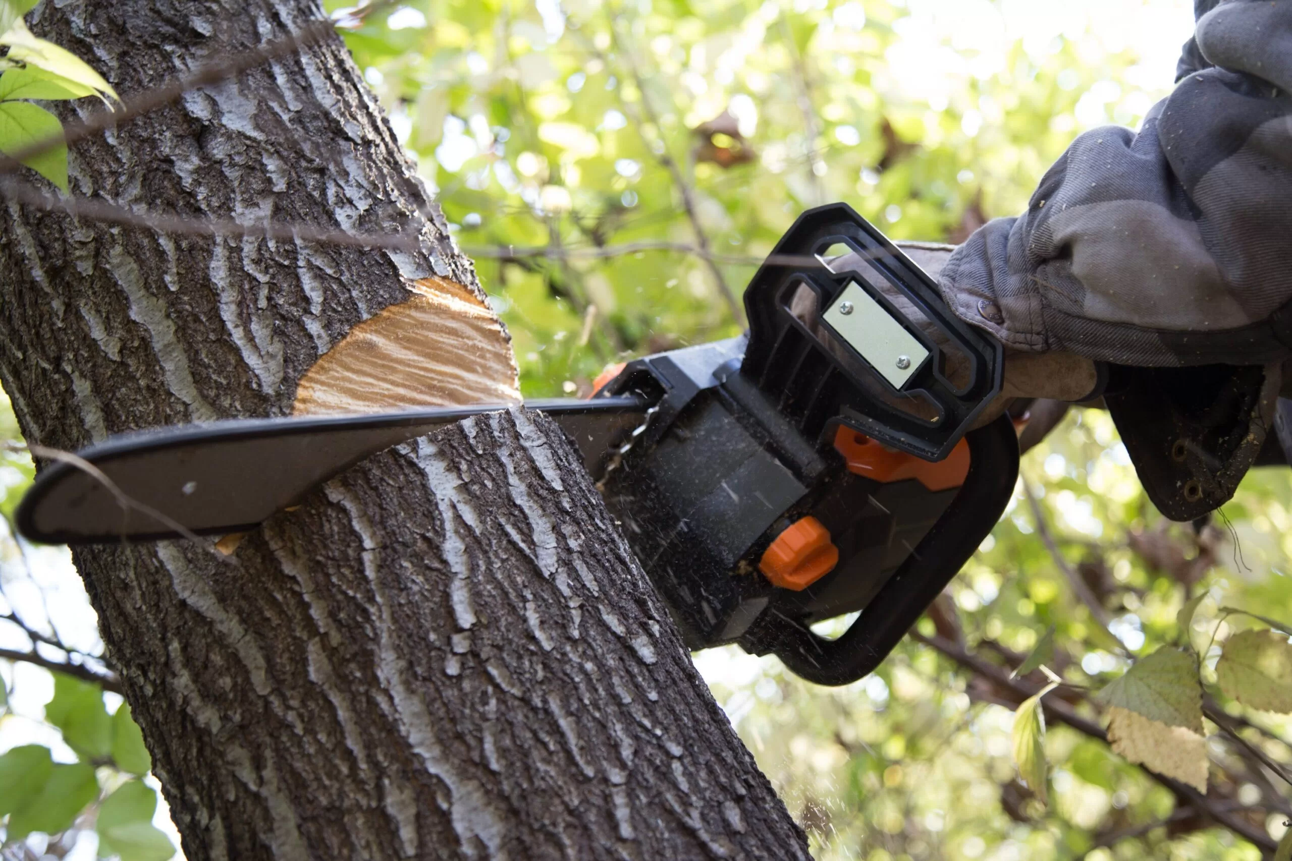 WEN 40-volt Max 16-in Brushless Battery Chainsaw 4 Ah (Battery and Charger Not Included)