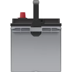 EverStart Platinum BOXED AGM Battery, Group Size 24F 12V, 710 CCA