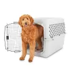 EveryYay Classic Going Places Pet Kennel, 40" L - Large