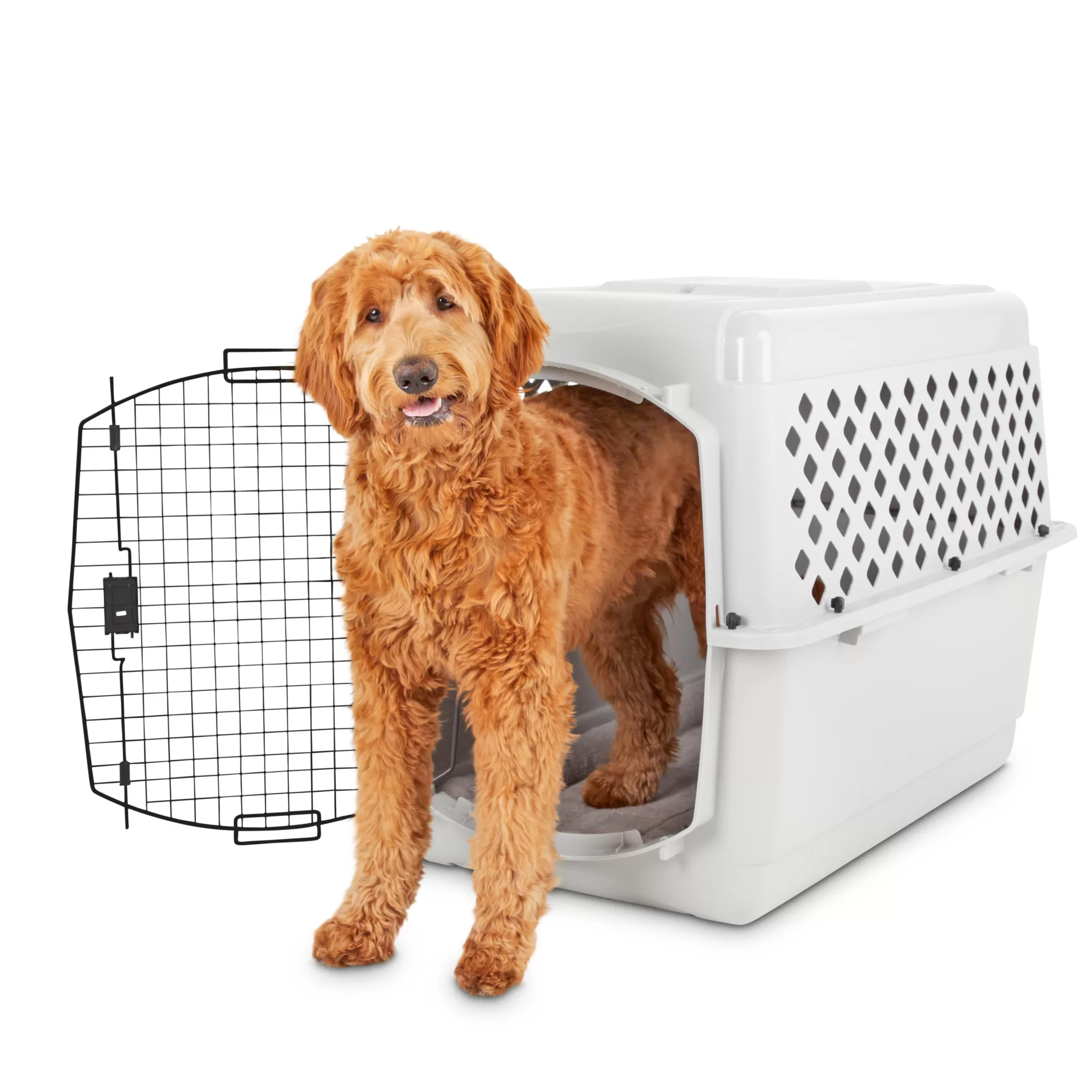 EveryYay Classic Going Places Pet Kennel, 40" L - Large