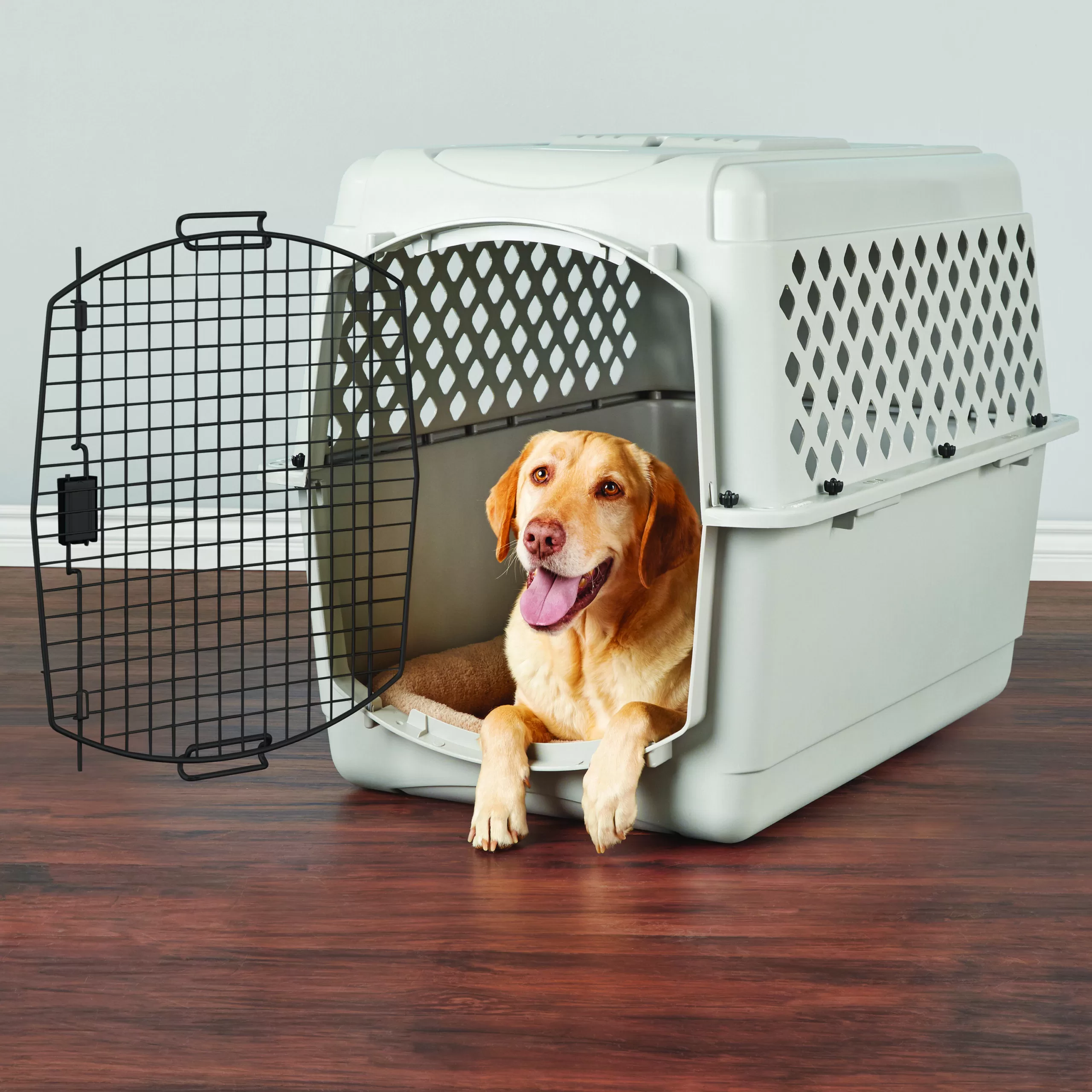 EveryYay Classic Going Places Pet Kennel, 40" L - Large