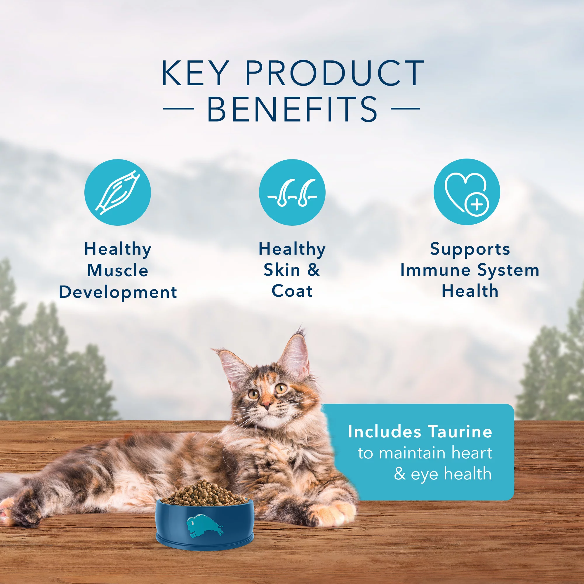 Blue Buffalo Blue Wilderness Natural Adult High Protein Chicken Dry Cat Food, 12 lbs.