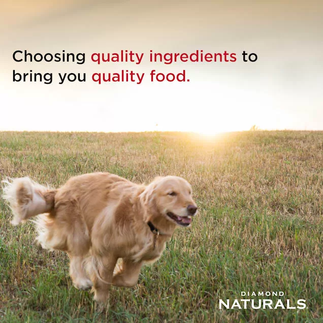 Diamond Naturals Large Breed Adult Chicken and Rice Dry Dog Food, 40 lbs.