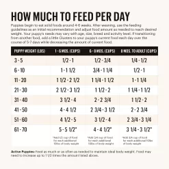 The Honest Kitchen Whole Food Clusters Puppy Whole Grain Chicken & Oat Recipe Dry Dog Food, 20 lbs.