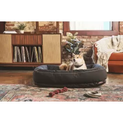 Reddy Indoor/Outdoor Dog Bed, 40" L X 30" W, Black