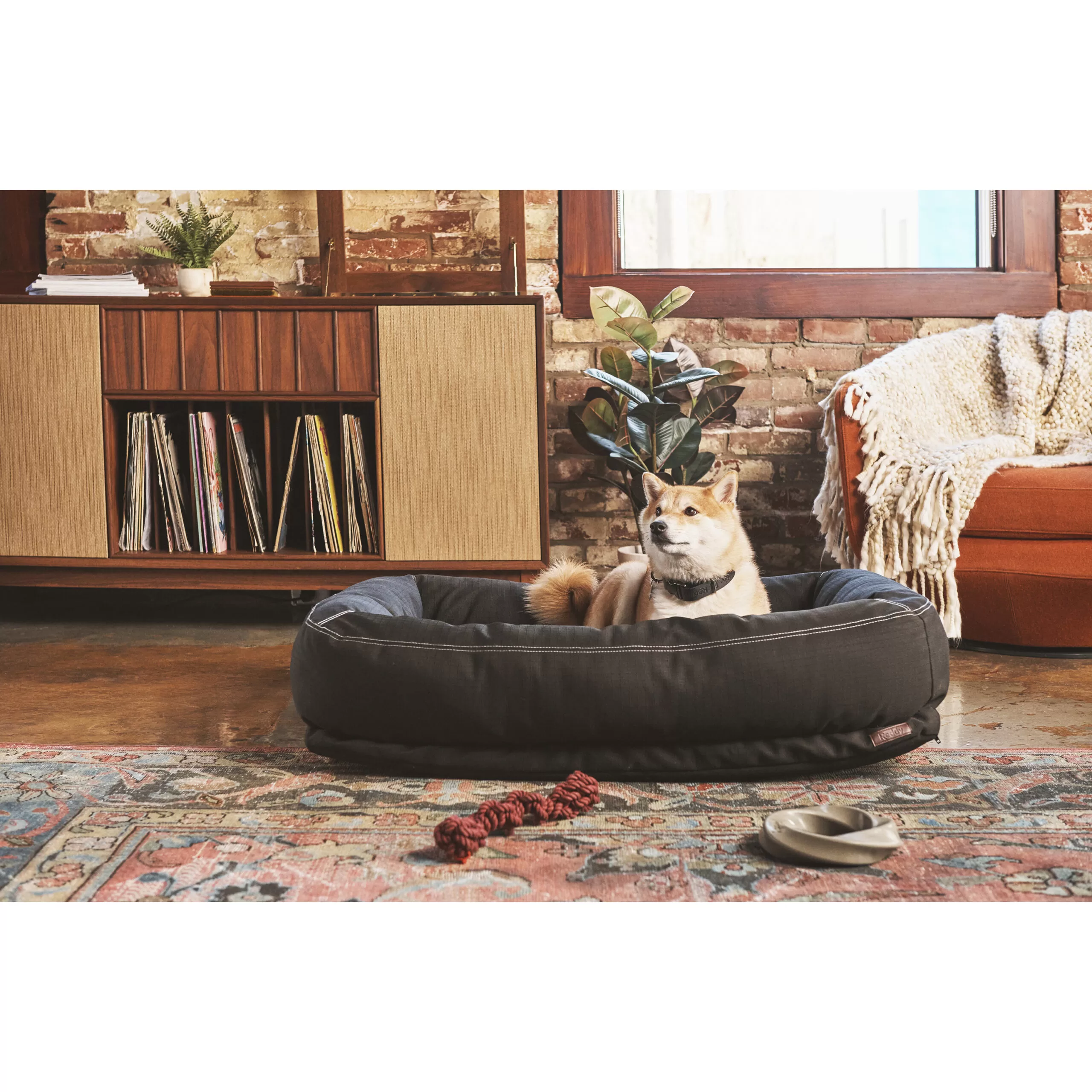 Reddy Indoor/Outdoor Dog Bed, 32" L X 24" W, Black